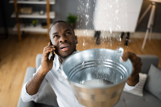 Best Ceiling water damage repair  in North Bend, OH