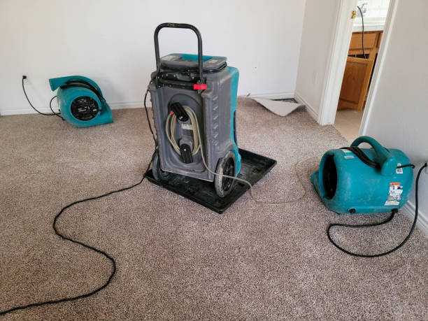 Best 24/7 water damage repair  in North Bend, OH