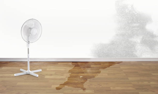 North Bend, OH Water damage restoration Company