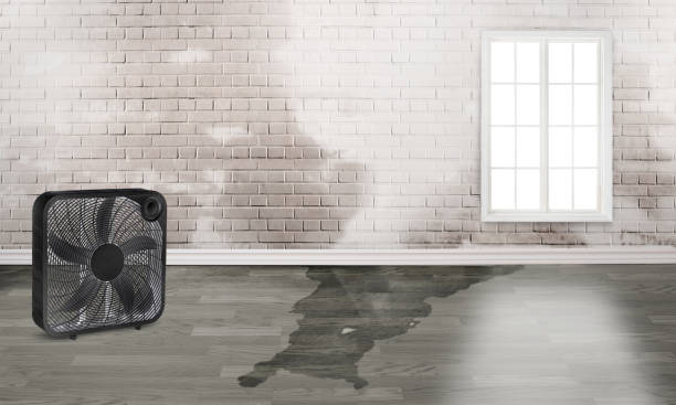 Best Residential water damage restoration  in North Bend, OH
