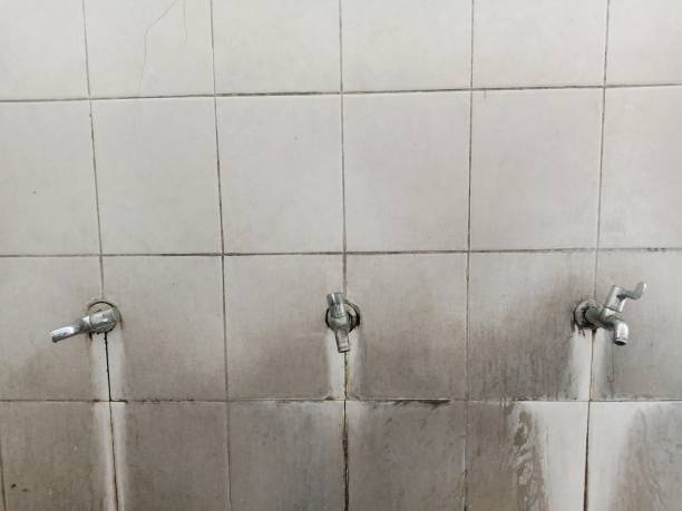 Best Basement water damage restoration  in North Bend, OH