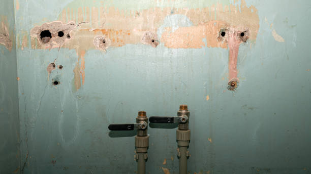 Best Fire Damage Restoration  in North Bend, OH