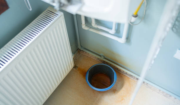 Best Basement water damage restoration  in North Bend, OH