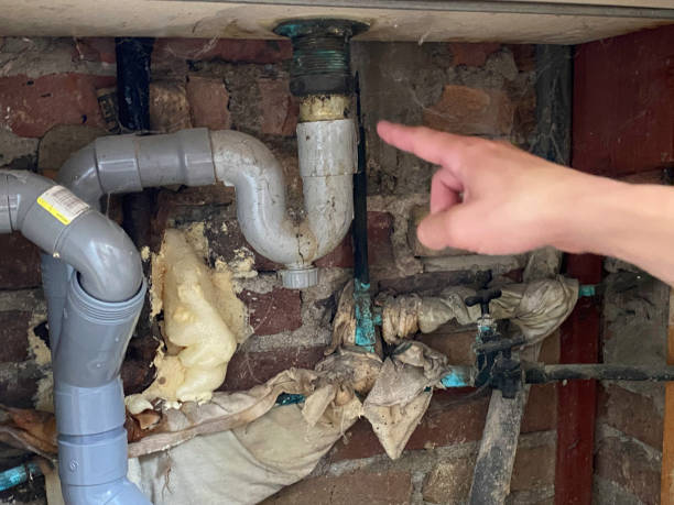 Best Local water damage restoration  in North Bend, OH