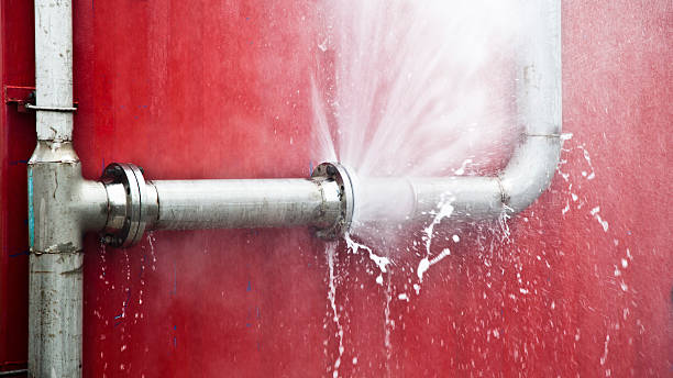Best Professional water damage repair  in North Bend, OH